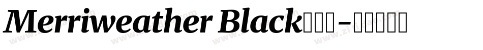 Merriweather Black转换器字体转换